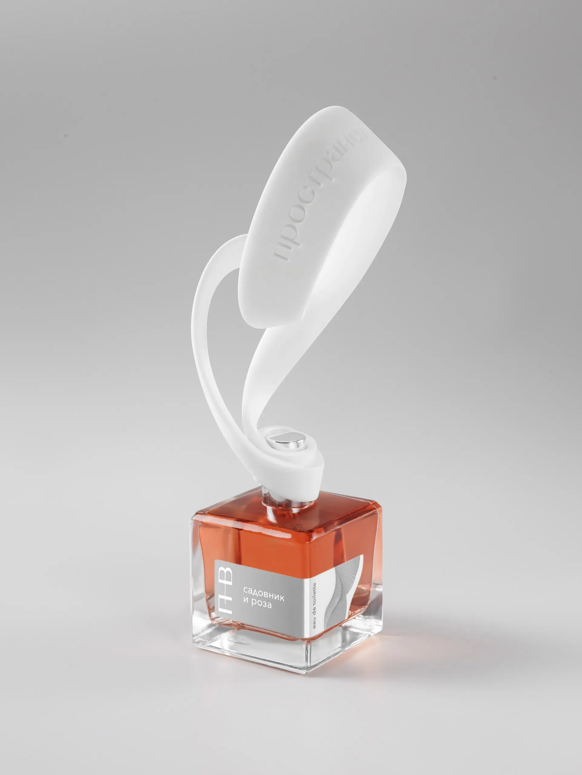 садовник и роза - изображение 2