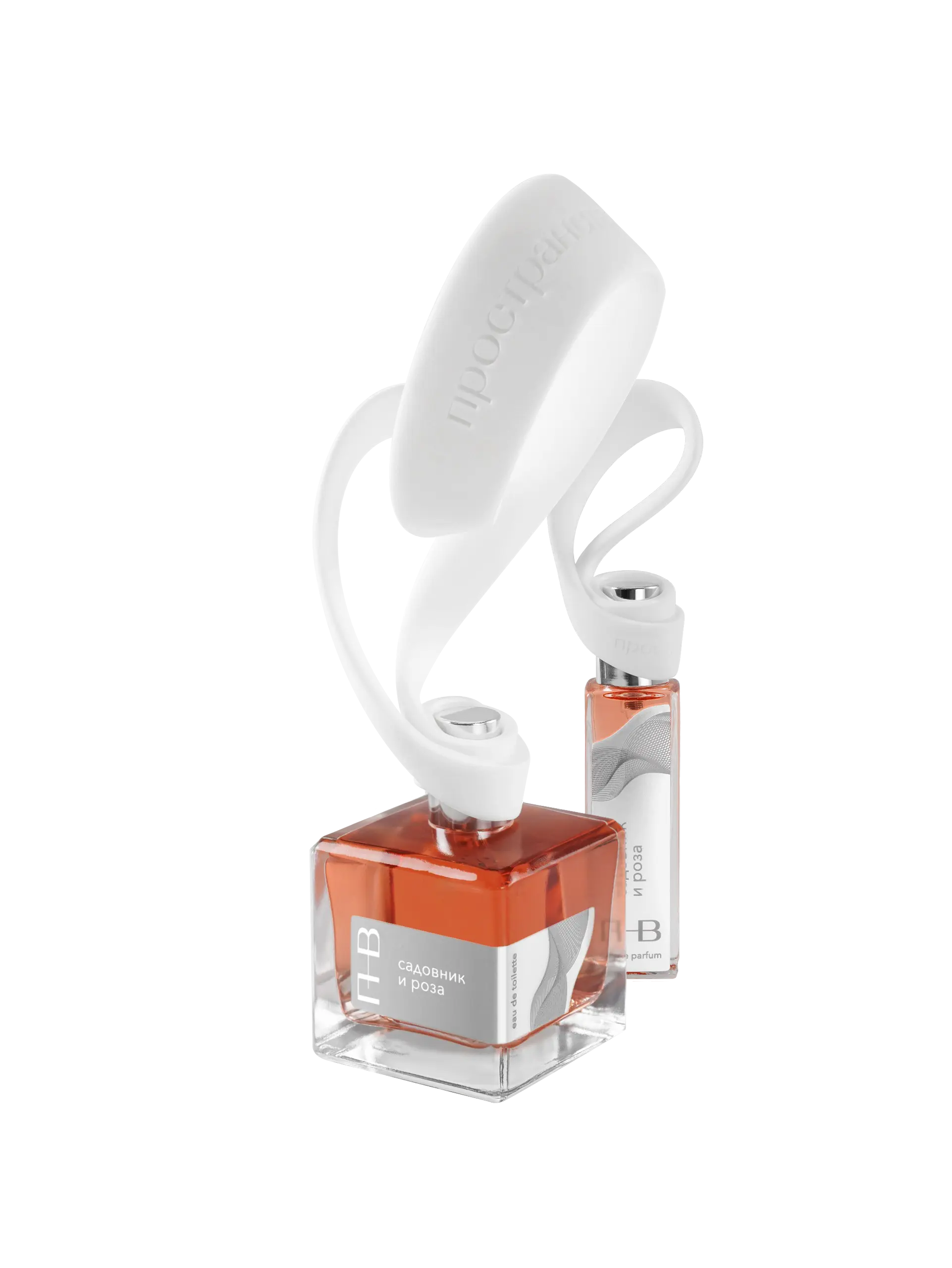 садовник и роза - изображение 1