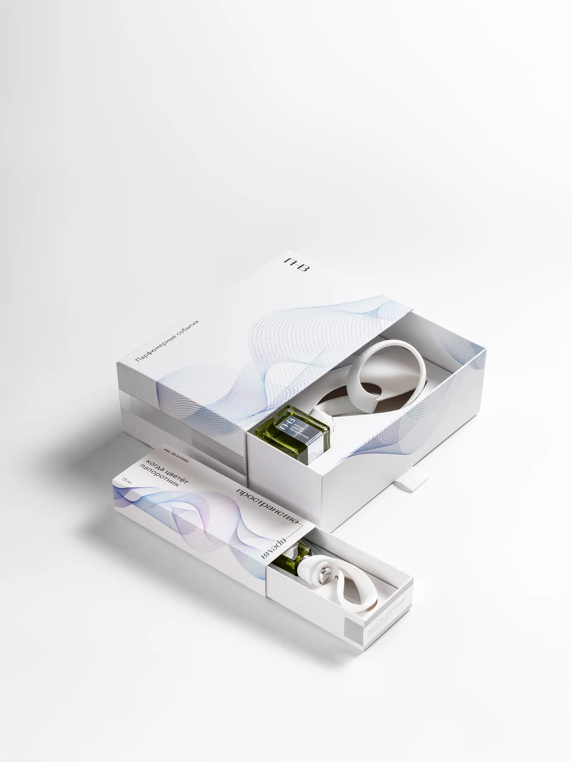 когда цветёт папоротник - изображение 4